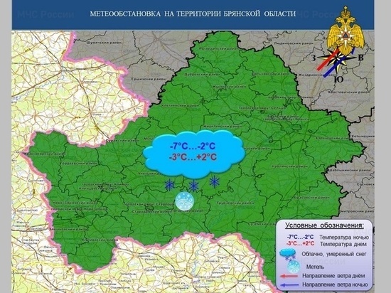 Брянцев предупредили о метели и порывистом ветре