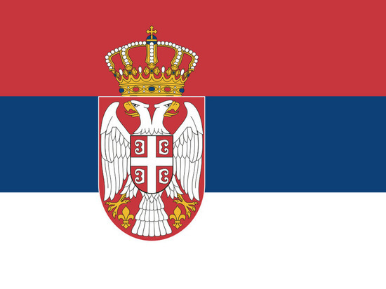 Большинство участников референдума в Сербии выступили за изменения в Конституции
