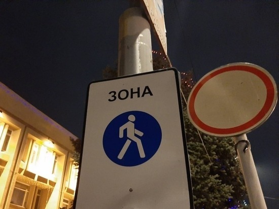 На саратовских дорогах за год пострадали почти 400 детей, еще 12 погибли
