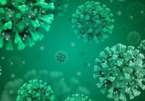 Заболеваемость штаммом коронавируса «Омикрон» в России пойдет на спад в конце января — начале февраля