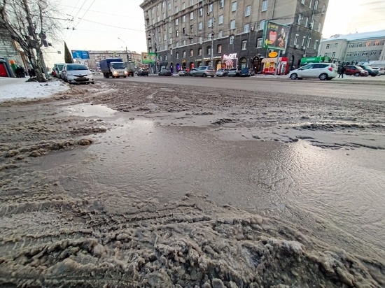Аномальную оттепель среди зимы в Новосибирске объяснили циклоном «Эльза»