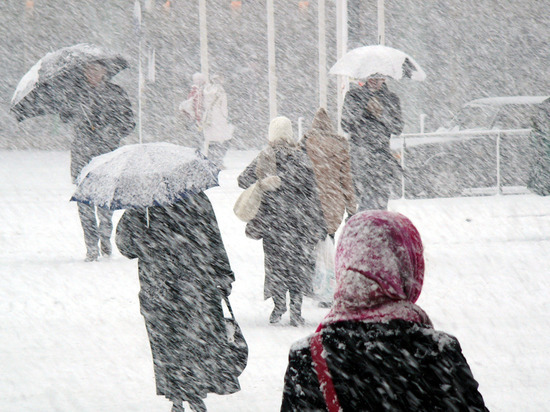 Снежные бураны готовится обрушить на Новгородскую область циклон «Герхильд»