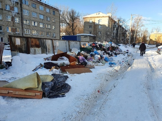 На улице Качевской в Рязани засняли переполненные мусорные контейнеры