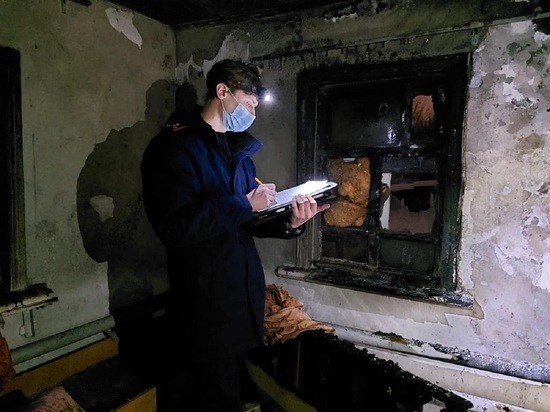 Начата проверка из-за смерти двух детей при пожаре в Екатеринбурге