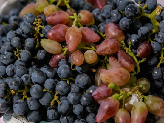Виноград помогает снизить уровень холестерина в крови