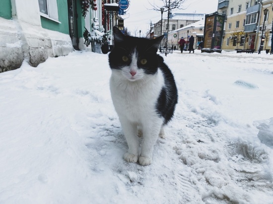Каток на улицах Твери: горожане падают и вязнут в снежной «каше» на тротуарах