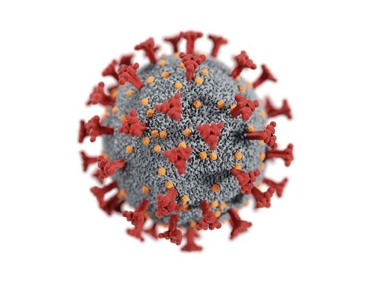 Эксперт спрогнозировал будущее коронавируса: каких штаммов еще ждать