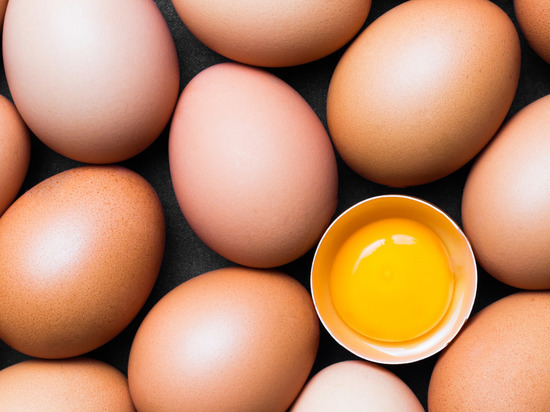 Птицеводы Ленобласти хотят произвести 3,5 млрд яиц за 2022 год