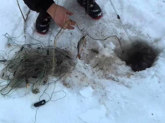 В Ивановской области поймали «рыбного» браконьера