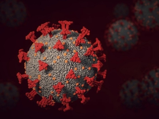 Целью нового штамма коронавируса «омикрон» являются клетки слизистых верхних дыхательных путей