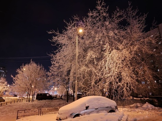 Петербуржцы назвали ситуацию с уборкой снега Ледниковым периодом