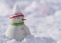После аномальной январской оттепели погода в Томске устремилась в сторону крещенских морозов: в городе во вторник, 18 января будет -8.