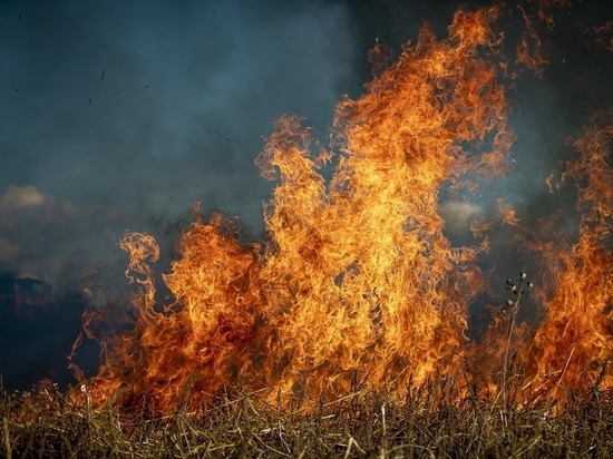 Забайкальца оштрафовали за степной пожар из-за пала травы на кладбище