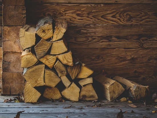 «Забайкаллесхоз»: Люди продают купленные у нас дрова в 3-4 раза дороже