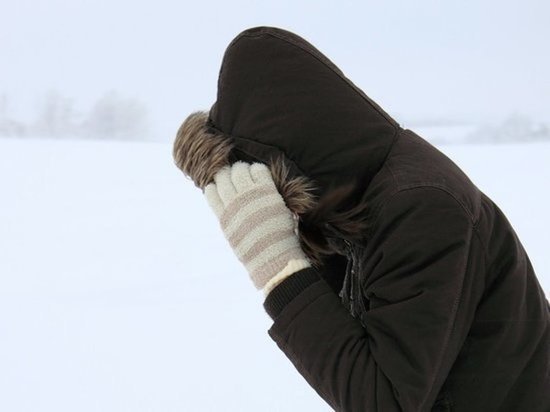 Сильный ветер ожидается в  Карелии 18 января