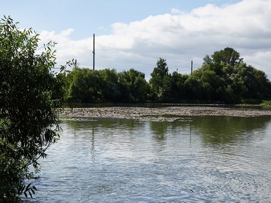 Стали известны причины загрязнения реки Суры в Пензе