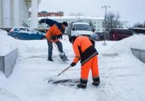 Любимов рекомендовал мэрии Рязани закупить малую технику для уборки снега