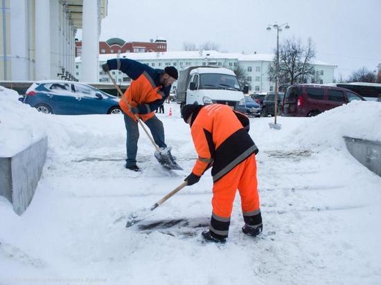 Любимов рекомендовал мэрии Рязани закупить малую технику для уборки снега