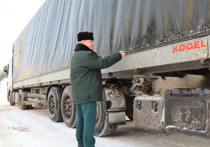 Незаконный ввоз двух грузовиков выявили псковские таможенники