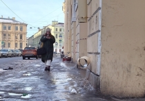 Новый год в Петербурге начался снежным и мусорным коллапсом, по поводу которого Шнур даже выпустил клип «Бегловская лопатка» с помойками и кучами снега