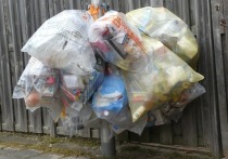 Половина воронежцев не видят смысла в разделении мусора