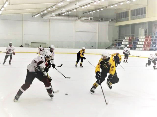 Кемеровский хоккейный клуб «Энергия» поборется за победу на домашнем льду