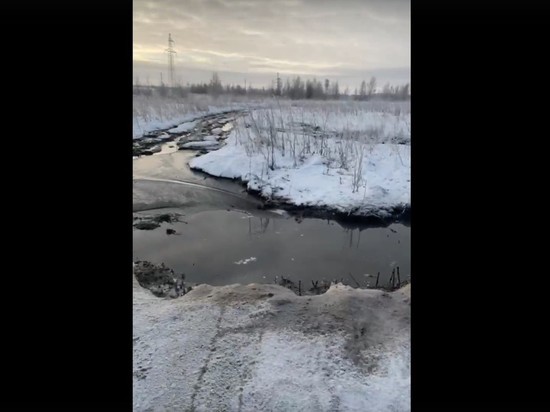 Общественники нашли место незаконного слива фекалий под Новосибирском