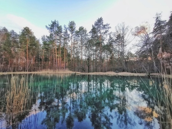 Лес вокруг Сероводородных озер в Калуге стал памятником природы