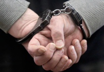 В Басманный суд Москвы поступило ходатайство о заочном аресте бывшего следователя управления СКР по Северо-Западному округу Москвы Алексея Неснова
