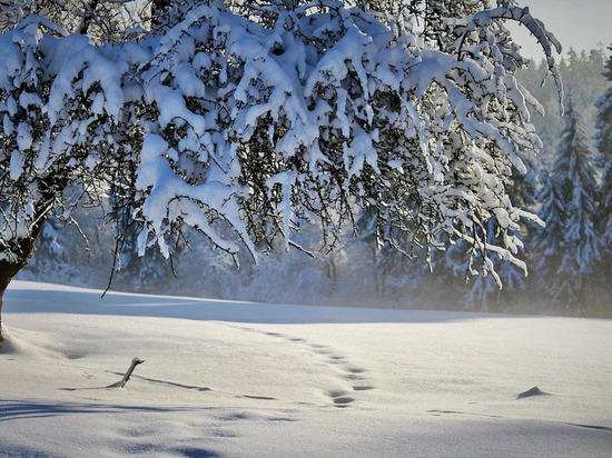 Влажный снег и 0 градусов ожидаются в Удмуртии 19 января