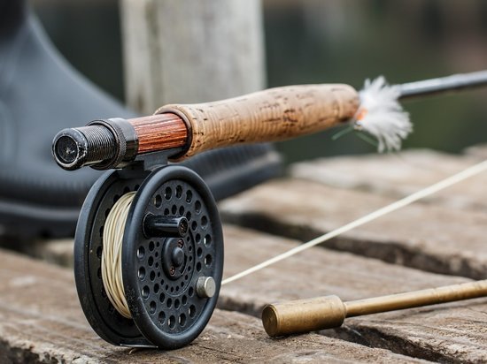 В ДНР рассказали, какая рыба водится в местных водоемах