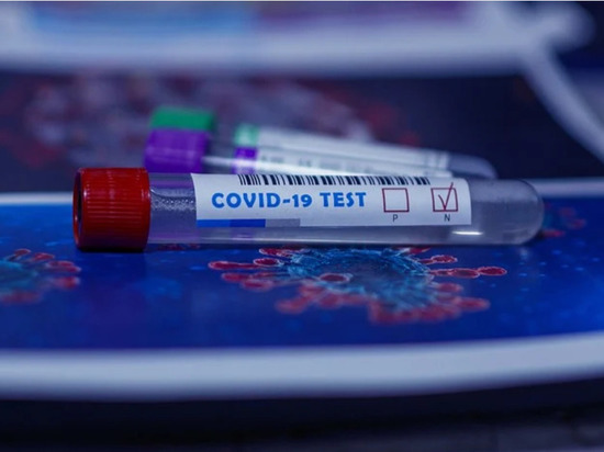 В Удмуртии не могут определять штаммы коронавируса по ПЦР-тестам