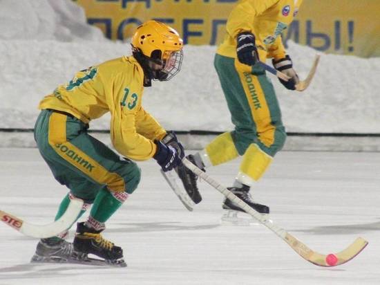 Поединки команд в рамках Всероссийских соревнований по хоккею с мячом состоятся с 23 по 28 января на двух местных стадионах: «Труд» и «Динамо»