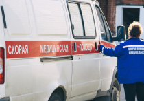 Рязанская область получит 23,2 млн рублей на поддержку медиков
