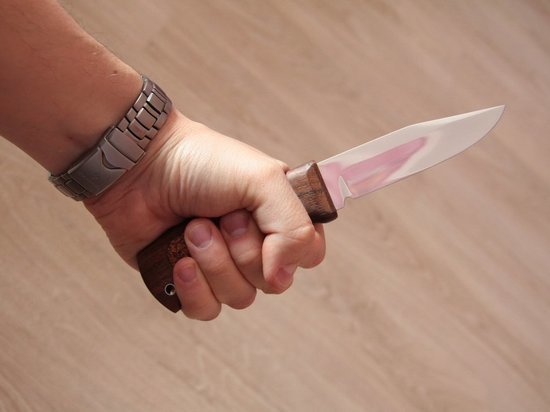 В Тверской области мужчина несколько раз ударил ножом пенсионерку и украл у неё кошелёк