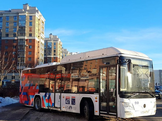 Для жителей Кудрово запустили 19 новых автобусов