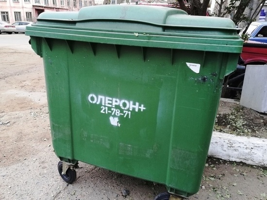 «Олерон+» будет вывозить новогодние ёлки с площадок в Чите по графику