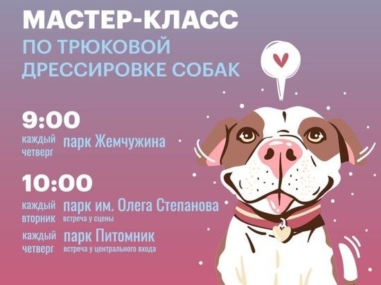 В Серпухове проходят мастер-классы для четвероногих любимцев