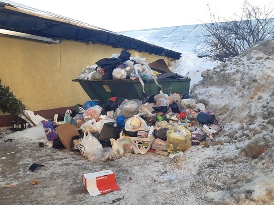 #НеХочуПлатитьЗаМусор: «МК в Питере» добился для петербуржцев права вернуть деньги за невывезенные отходы