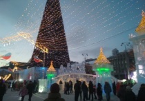 Поток туристов в Россию на новогодние праздники увеличился на 75%
