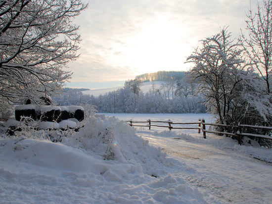Туляков ожидает снежная погода 21 января