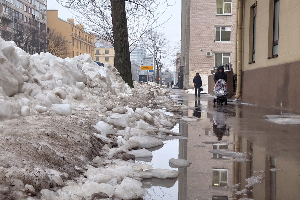 В Петербурге устроили квест «Найди дворника»: не нашли ни одного - МК