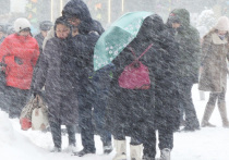 Заммэра Москвы Петр Бирюков предупредил жителей столицы, что в ближайшие часы город накроет сильный снегопад, который продлится до вечера субботы