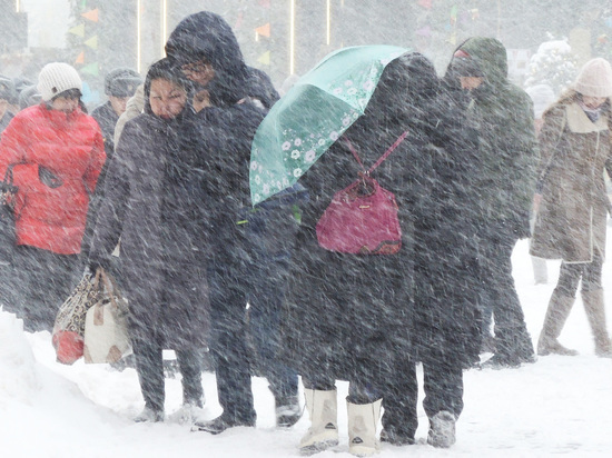 Власти Москвы предупредили о двухдневном снегопаде