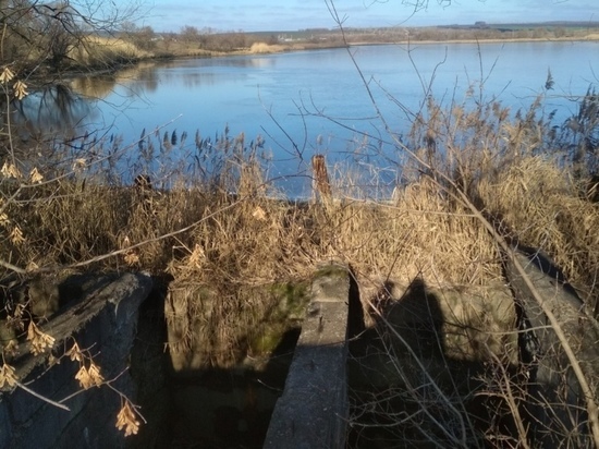 В Курской области арендатор пруда заплатит 80 тысяч рублей за спуск воды
