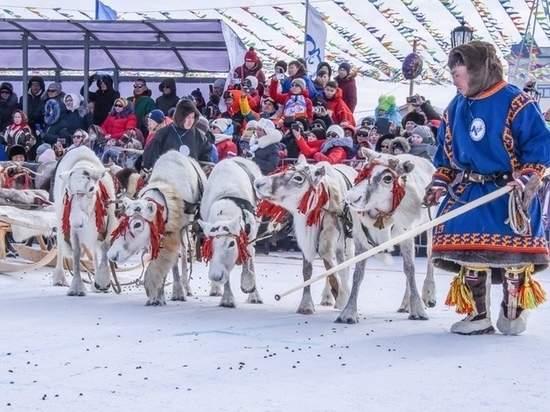 Власти Ямала надеются, что не придется отменять День оленевода из-за омикрона