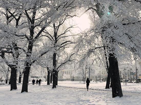В Курской области 21 января ожидаются метели и снежные заносы
