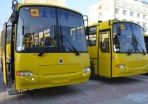 Автобус для подвоза учеников Дровянинской средней школы Улётовского района вернется на маршрут 24 января