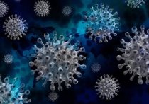 Медики за последние сутки выявили коронавирус ещё у 191 жителя Забайкальского края
