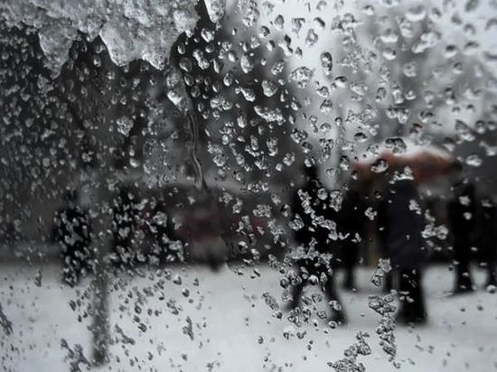 Ростовскую область 21 января накроют метель и гололед